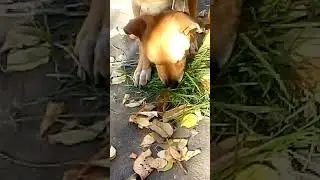 10.11.22, Атос