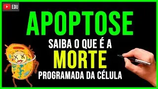 O QUE É APOPTOSE? Aprenda em 1 minuto! Não Erre Nunca na PROVA! Biologia com Patrick Gomes