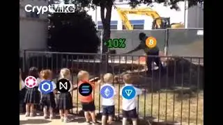 Altcoins are waiting for this moment... 🍿