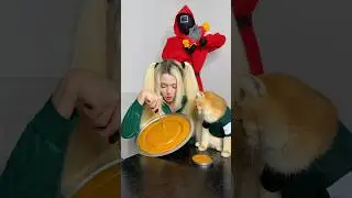 My cat Nika tried to save me 