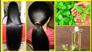 Tulsi Hair Oil | I Promise That After Using This Your Hair Will Never Stop Growing / DIY Hair Oil