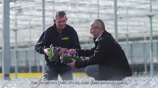Delta Pro at grower Baas | German