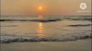 WAVE FORMATION | SOUND in the BEACH | BEAUTIFUL CREATURES | SUNSET VIEWS | BEACH in the WORLD