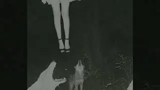 [FREE] PHONK TYPE BEAT - 
