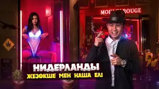НИДЕРЛАНДЫ: БОСТАНДЫҒЫ ТЫМ КӨП ЕЛ | ЗАҢДАСТЫРЫЛҒАН ЖЕ*ЗӨКШЕЛІК ПЕН Н*ША