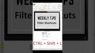 [10] Weekly Tips - Excel Filter #shorts