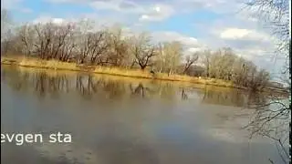 Разговоры о рыбалке
