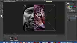 How does color fidelity work in Photoshop?