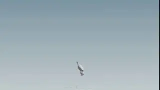 trump fall