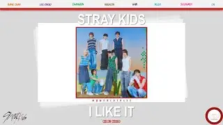 Stray Kids - I Like It (Color Coded) (lyrics/rom/TR)