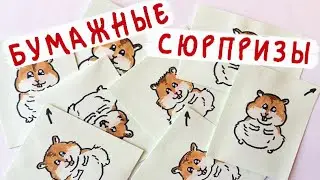 Бумажные сюрпризы / Что нужно для хомяка?