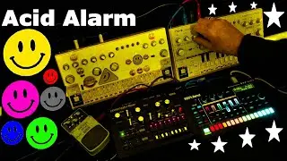 Acid Alarm (Short) - Behringer TD-3 RD-6 - Roland TR-6S - Korg Monotribe - VD400 Pedal