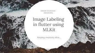 Image Labeling in Flutter using MLKit | MLKit in Flutter | Using MLKit in Flutter 