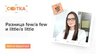 Разница few/a few и little/a little