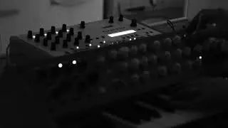 200427 Vermona 14 + Jomox Alpha Base