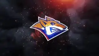 Пресс конференция г тренеров  Металлург Мг    Динамо Рига