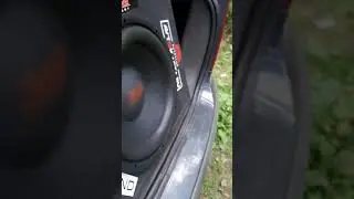 Стук катушки AMP H-12D2