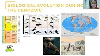Paleoecology of Pleistocene Megafauna in the Americas