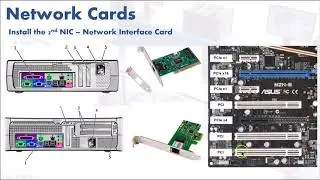 What Is NIC - Network Interface Card