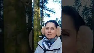 Прогулка в лесу