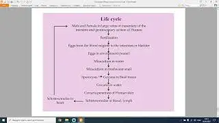 MIkheeveNA_Biology_Лекция_14_26/04/22