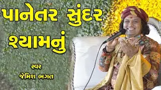 મેતો પેર્યુ રે પાનેતર સુંદર શ્યામનુ || Meto Peryu Re Panetar Sundar Shyamnu || 