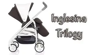 Inglesina Trilogy: НЕДОСТАТКИ и ДОСТОИНСТВА. Обзор
