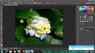 How To Use Art History Brush Tool In Adobe Photoshop
