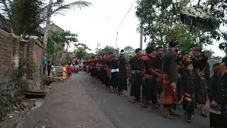 nyongkolan tradisi sasak#lombokculture#sasak