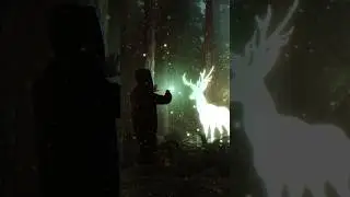 Harry Potter vfx #vfx