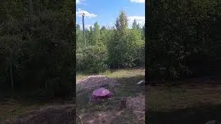 Лето - это хорошо!