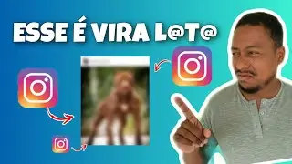 AVALIAMOS OS CACHORROS DOS SEGUIDORES #pitbull