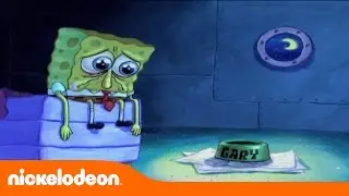 Bob Esponja | Gary, vuelve a mí | Nickelodeon en Español