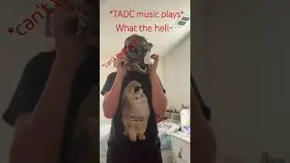 (Insert good title here)  