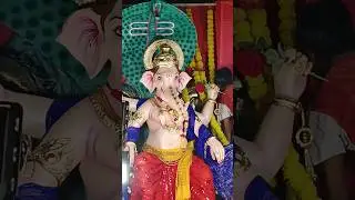 Ganpati visarjan