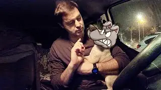 A very angry dog ​​named Sani!