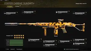 WARZONE TOP 5 BEST VANGUARD WEAPON LOADOUTS (Warzone Best Loadouts)