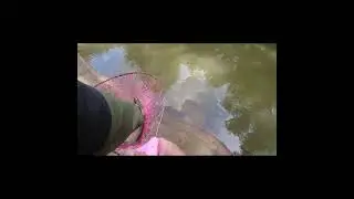 #мормышинг