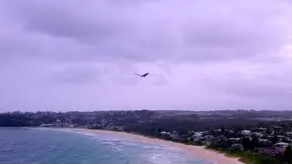 Mollymook Nov 2021