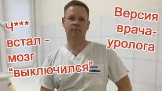 Член встал - мозг выключился