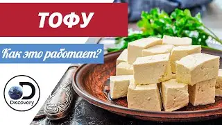 Тофу | Как это сделано? | Как делают Тофу