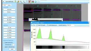 Image Lab Analysis Tutorial