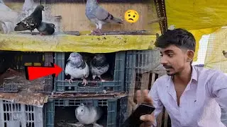 Inka Joda Ku Ni Lgg Rha 🤔