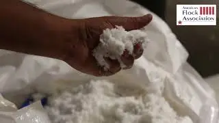 AFA Video c 2020