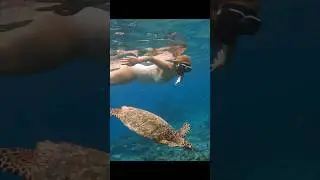 💥ШОК ОТ СНОРКЛИНГА🐠 на МАЛЬДИВАХ🏝️🐟🦈