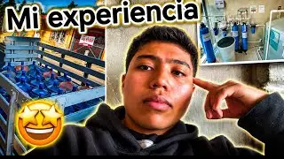 My experience investing in a water purification plant, a highly recommended business 🇲🇽