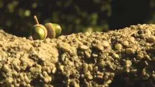 Wines of Hungary - Balaton Wine Region
