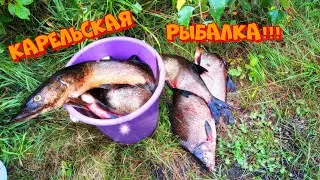 Карельская рыбалка. Хищная рыба атакует. Охотимся на щуку. Рыбалка в Карелии.