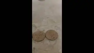 новые находки в этом сезоне