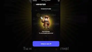 Hamster Kombat шифр 10-11.06.2024